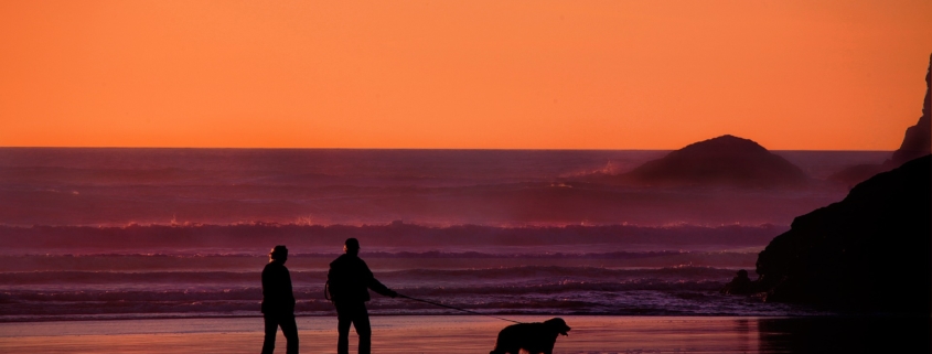 Medicare Advantage Plans Lagrangeville, NY